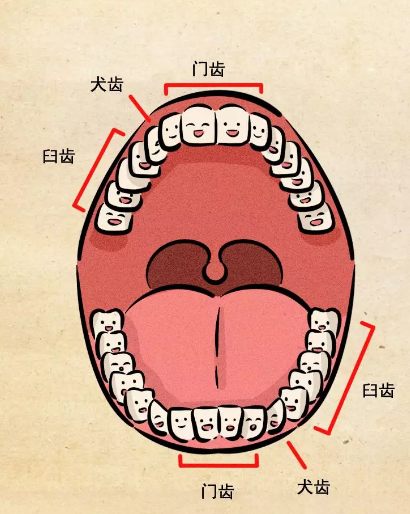 烤瓷牙种植对医生要求高，黄金烤瓷修复牙齿怎么样？