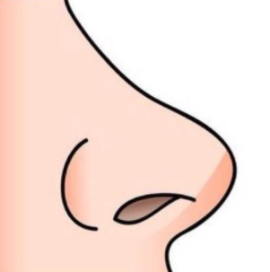 做鼻综合第几天比较肿？鼻综合的手术过程是怎样的？